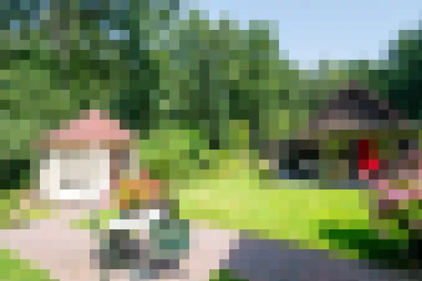 Onder de Bos 116 Hulshorst thumbnail 40