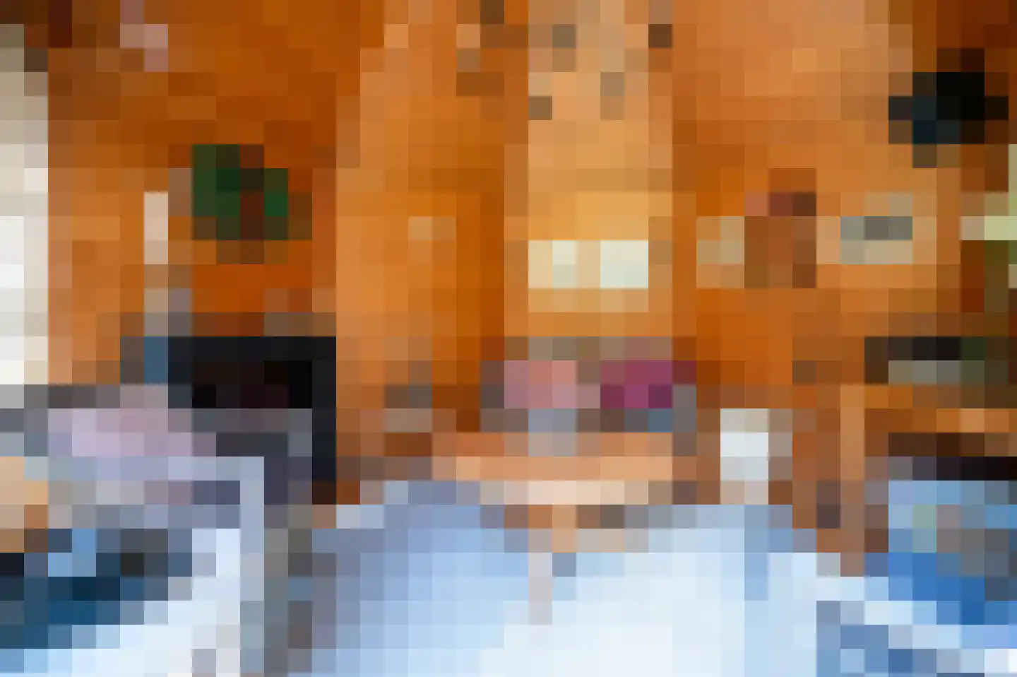 Onder de Bos 116 Hulshorst thumbnail 41