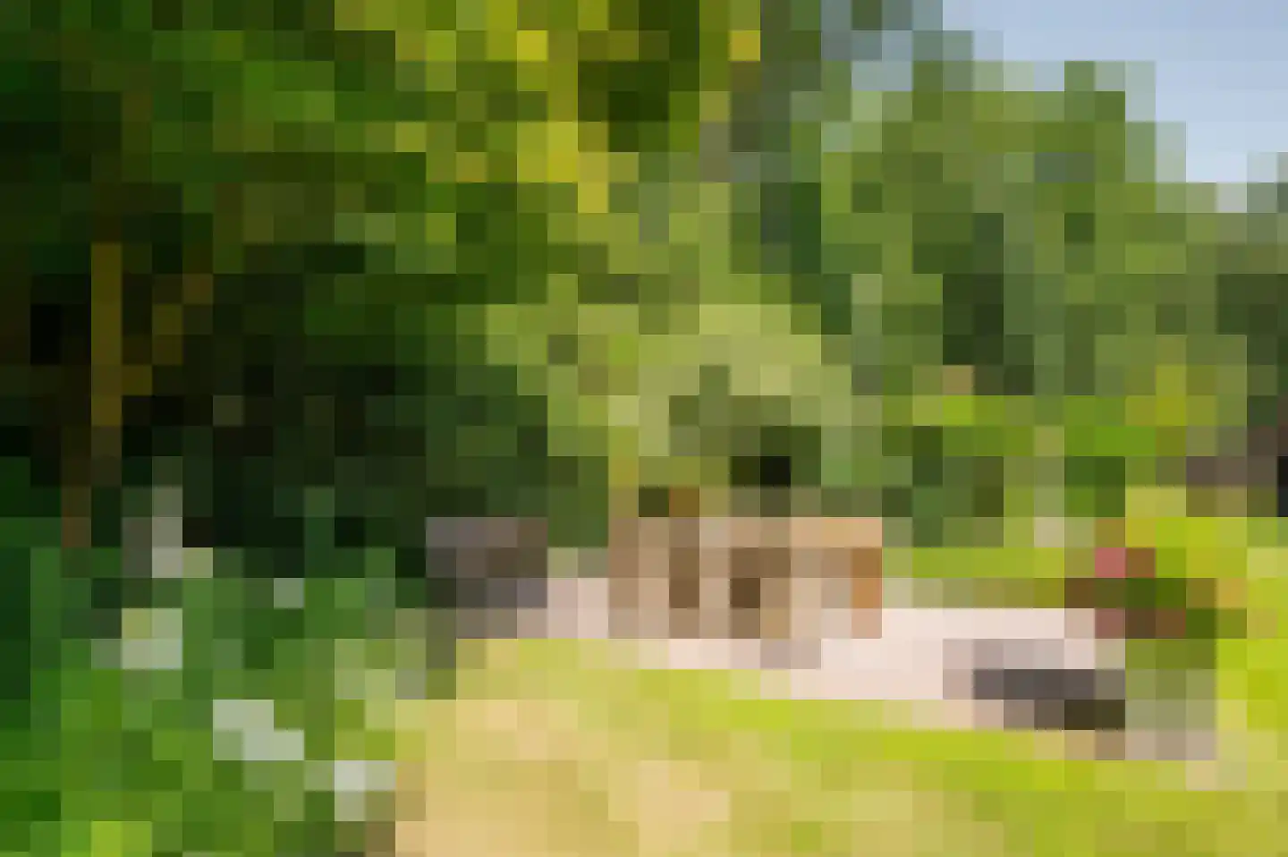 Onder de Bos 116 Hulshorst thumbnail 42