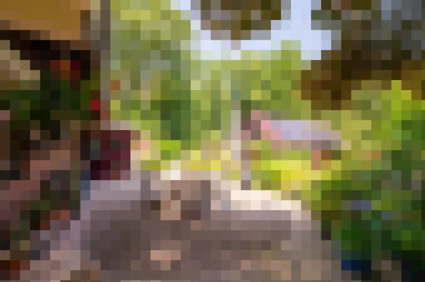 Onder de Bos 116 Hulshorst thumbnail 44