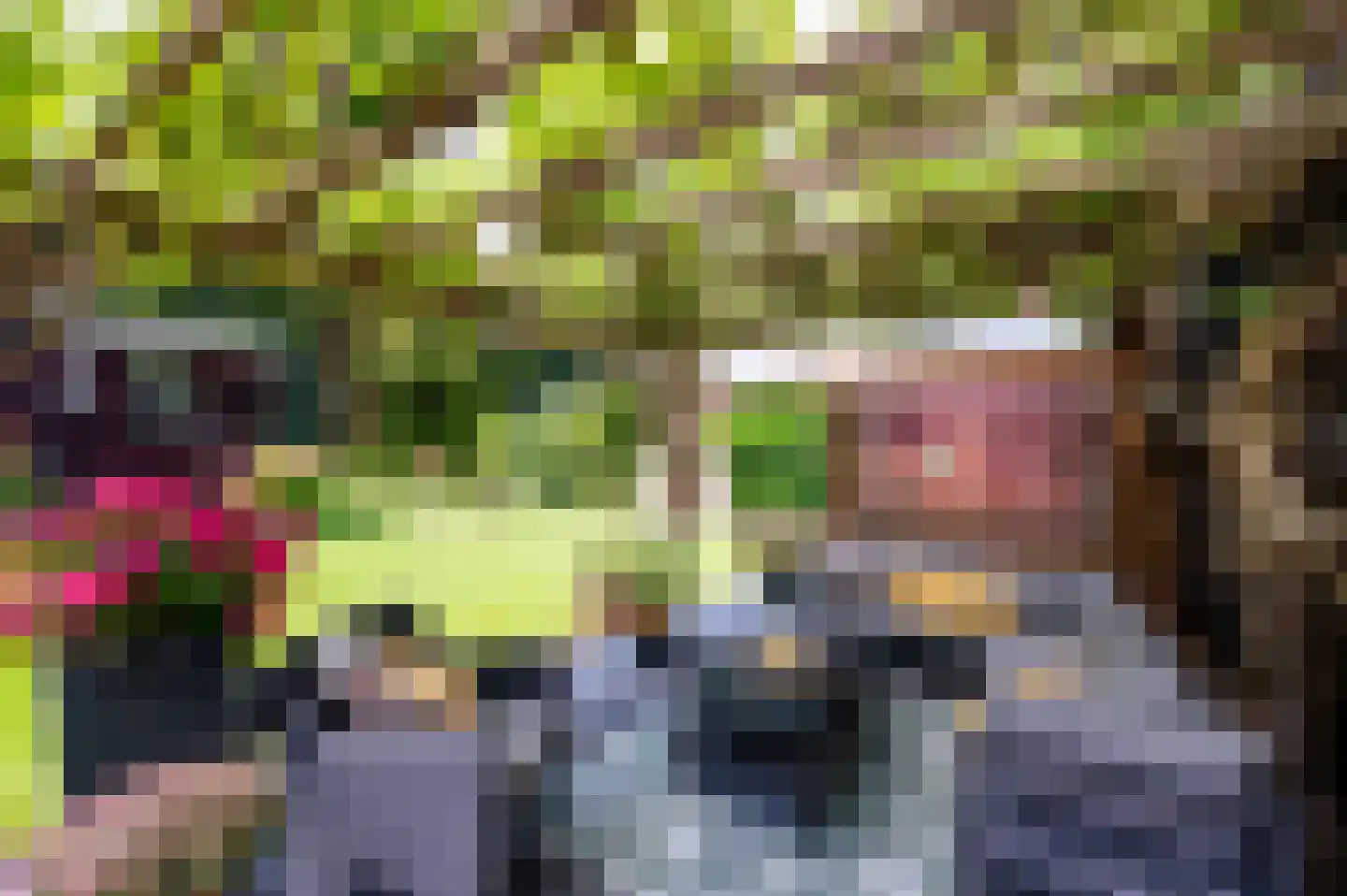 Onder de Bos 116 Hulshorst thumbnail 45