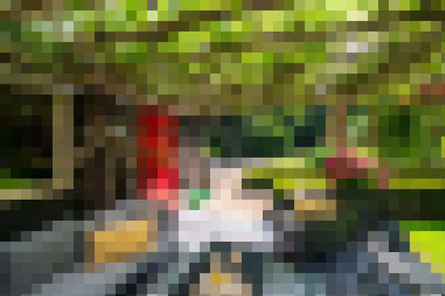 Onder de Bos 116 Hulshorst thumbnail 46
