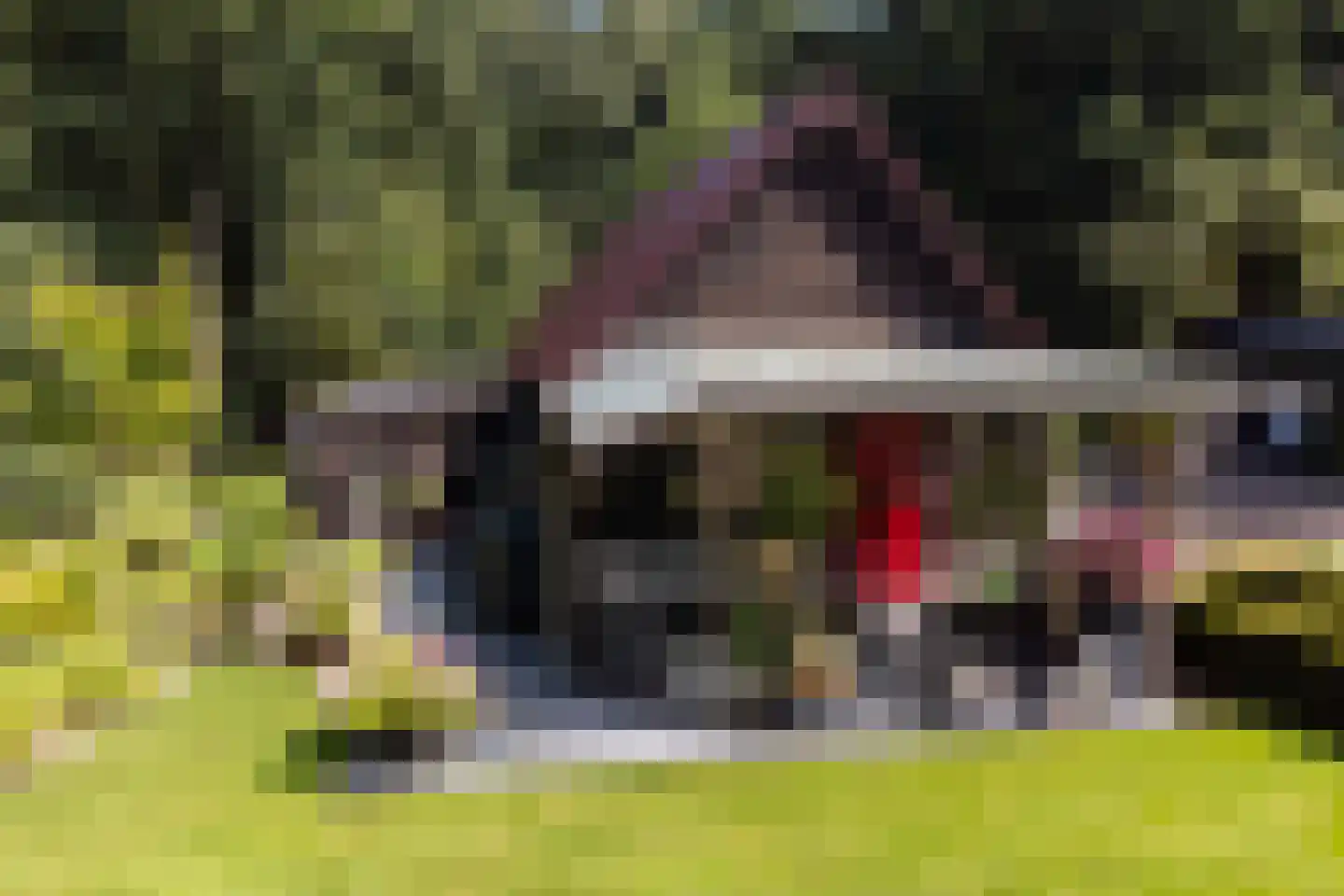 Onder de Bos 116 Hulshorst thumbnail 47