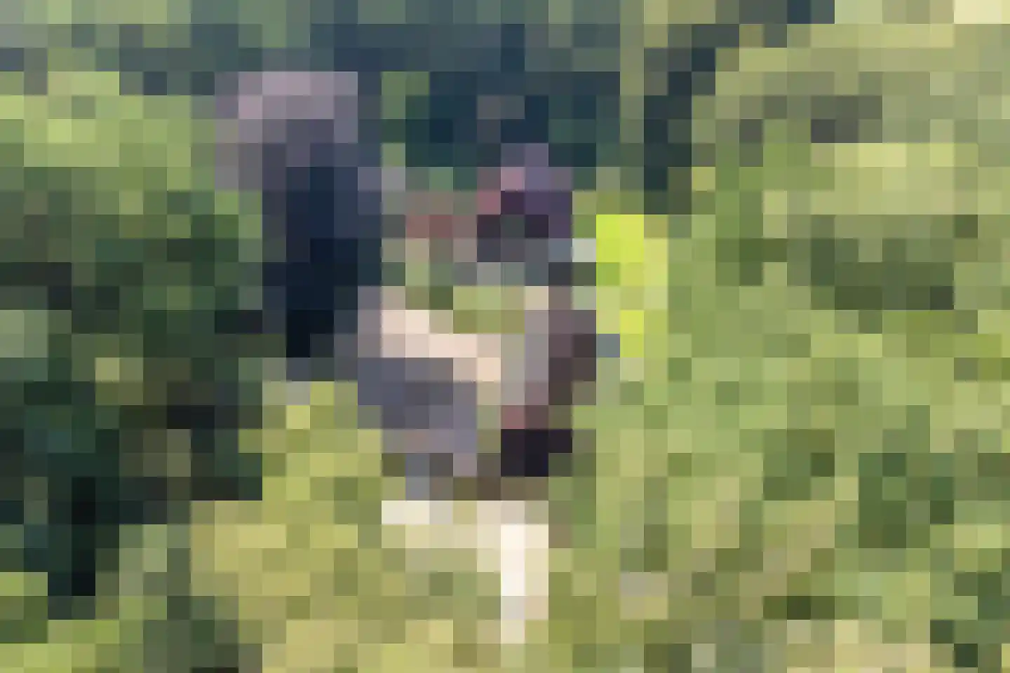 Onder de Bos 116 Hulshorst thumbnail 48