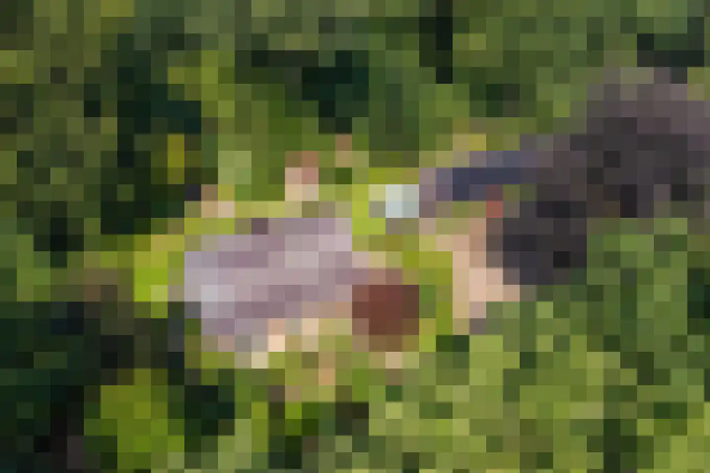 Onder de Bos 116 Hulshorst thumbnail 49