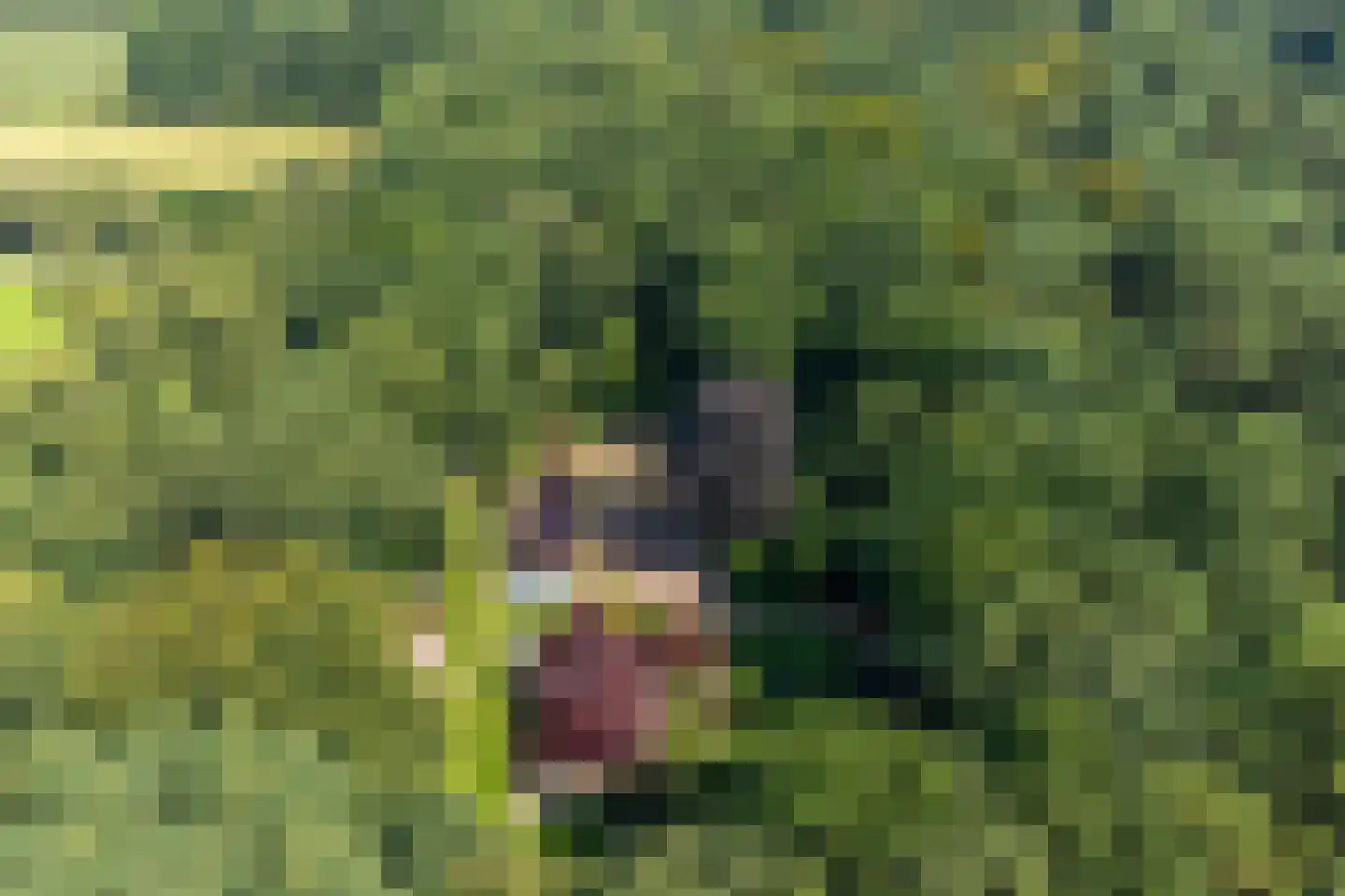 Onder de Bos 116 Hulshorst thumbnail 5