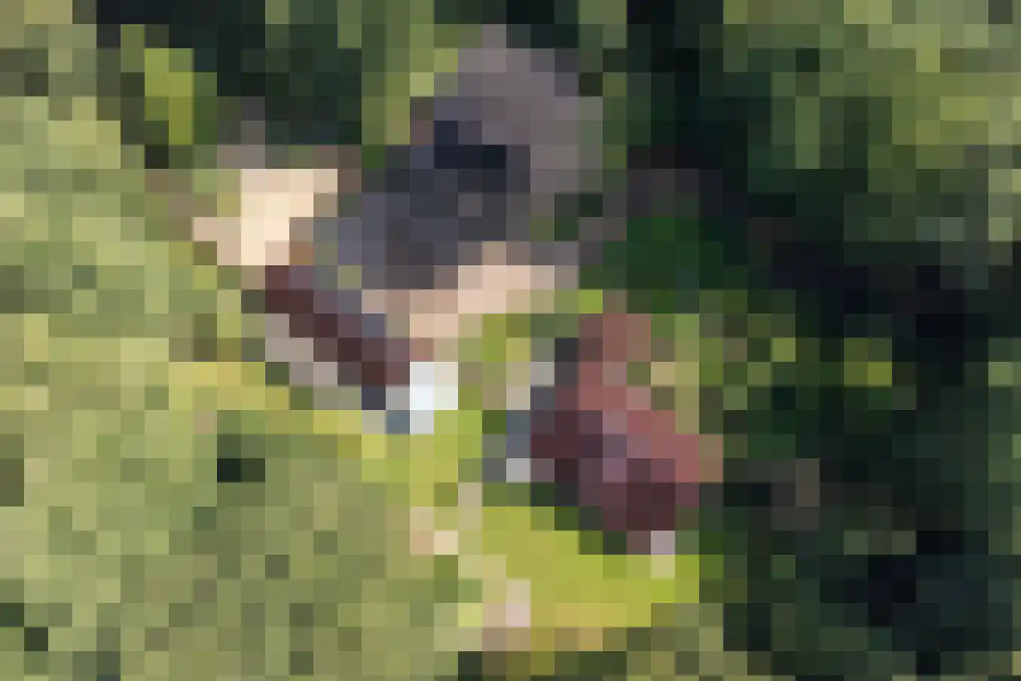 Onder de Bos 116 Hulshorst thumbnail 50