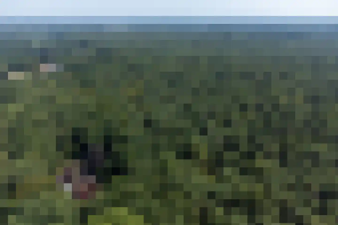 Onder de Bos 116 Hulshorst thumbnail 51