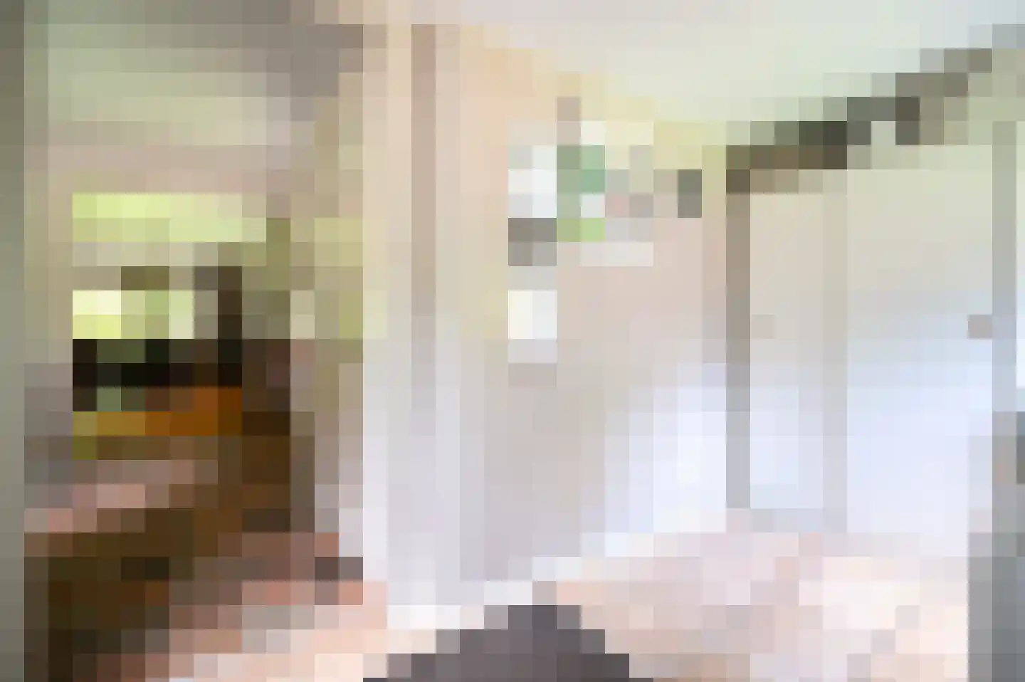 Onder de Bos 116 Hulshorst thumbnail 6