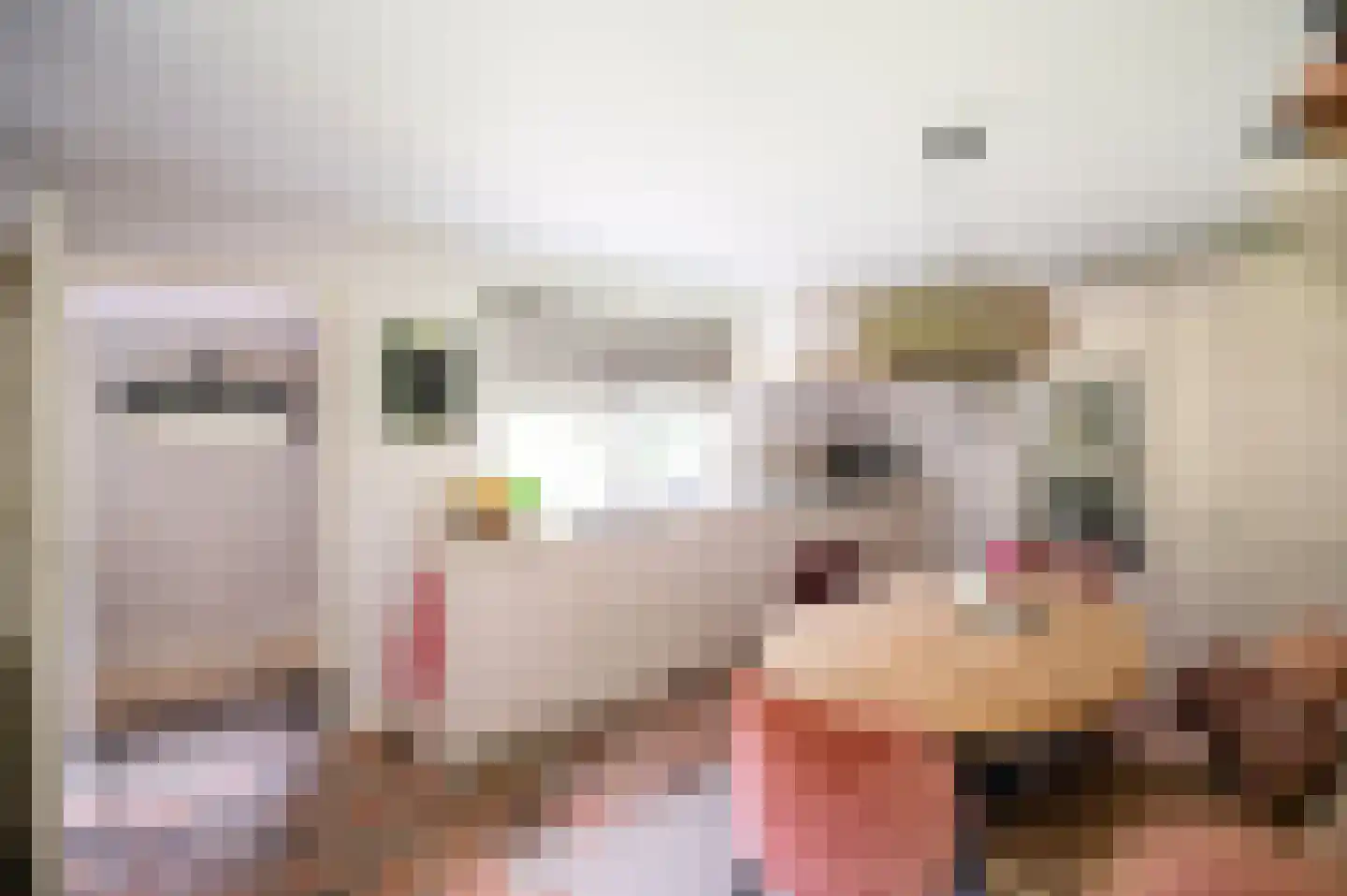 Onder de Bos 116 Hulshorst thumbnail 7