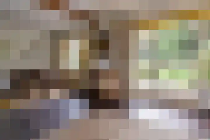 Onder de Bos 163 Hulshorst thumbnail 12