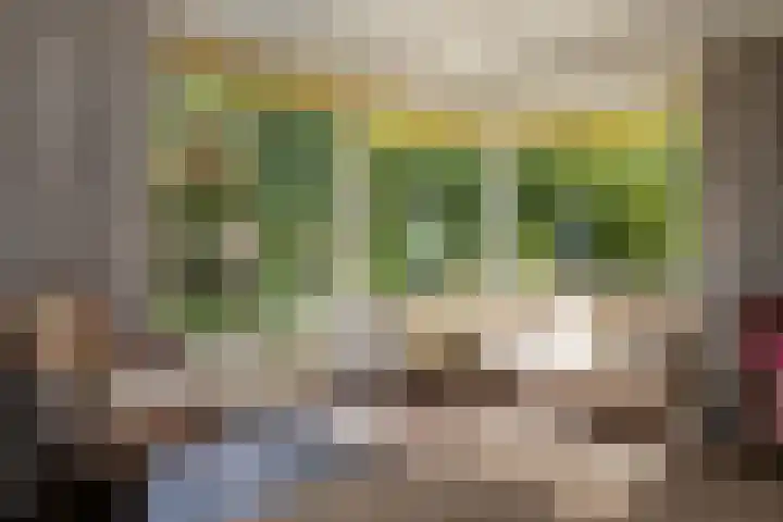 Onder de Bos 163 Hulshorst thumbnail 13