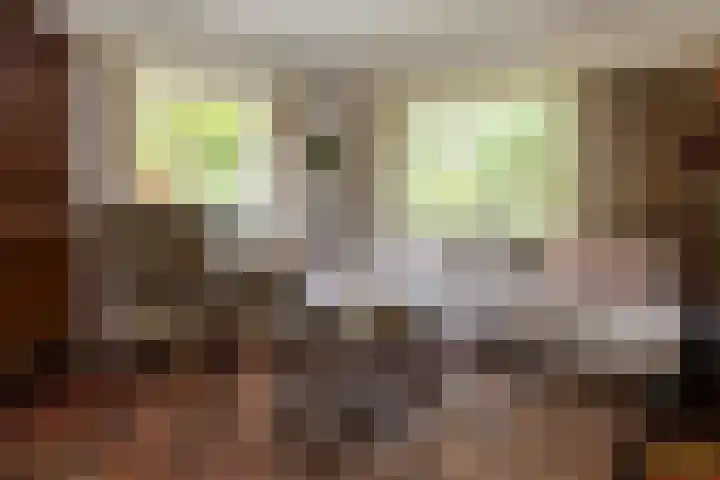 Onder de Bos 163 Hulshorst thumbnail 14