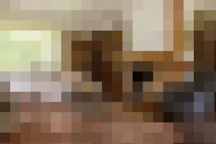 Onder de Bos 163 Hulshorst thumbnail 15