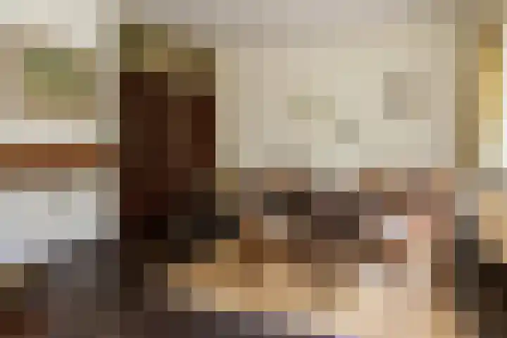 Onder de Bos 163 Hulshorst thumbnail 16