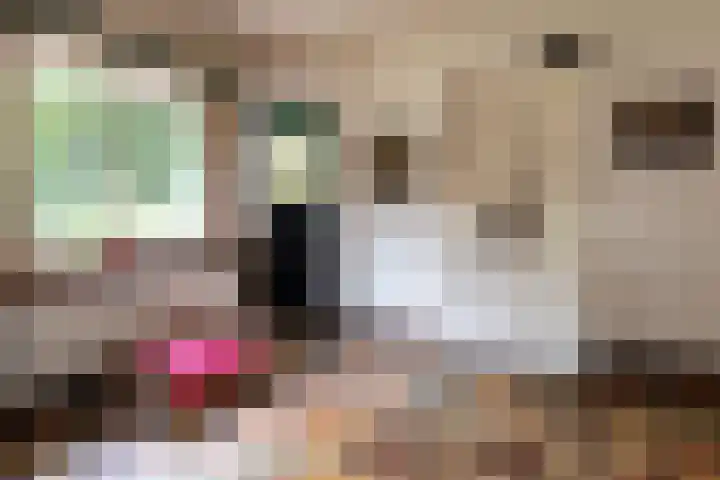Onder de Bos 163 Hulshorst thumbnail 19