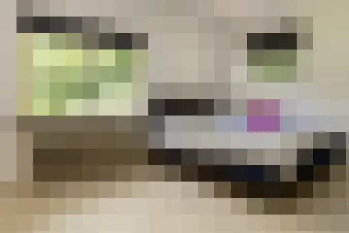 Onder de Bos 163 Hulshorst thumbnail 20