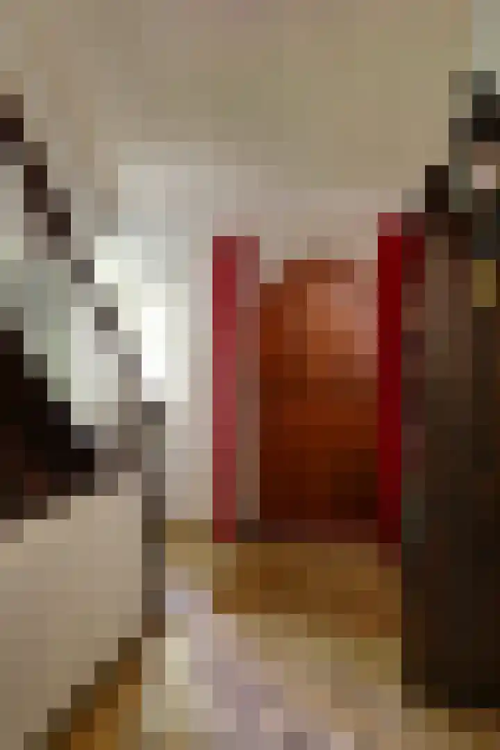 Onder de Bos 163 Hulshorst thumbnail 25