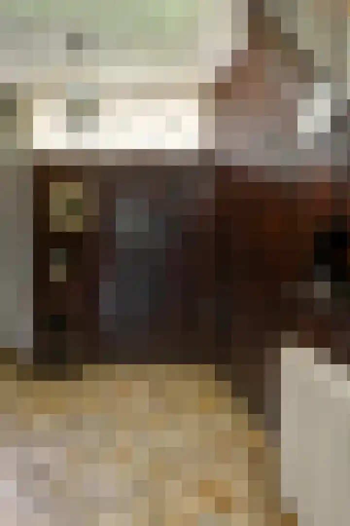 Onder de Bos 163 Hulshorst thumbnail 26