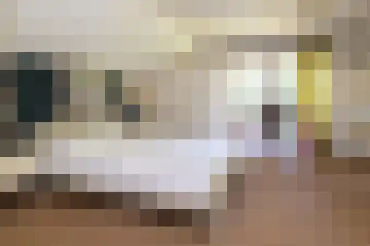 Onder de Bos 163 Hulshorst thumbnail 29