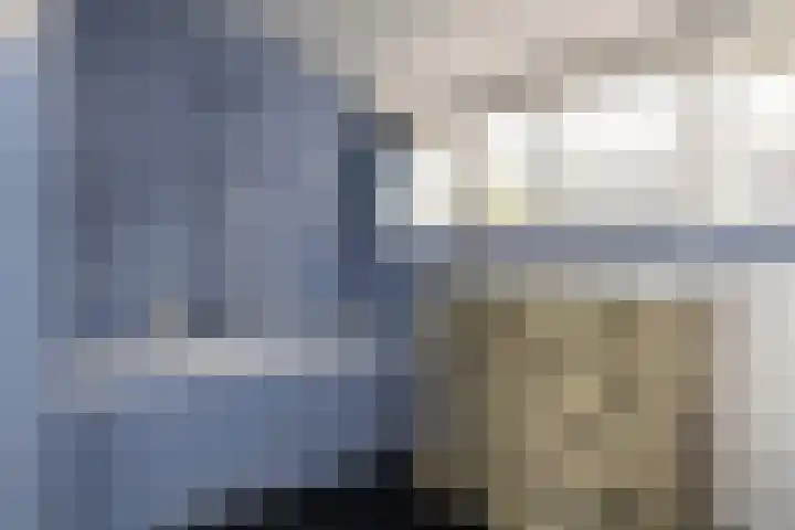 Onder de Bos 163 Hulshorst thumbnail 32