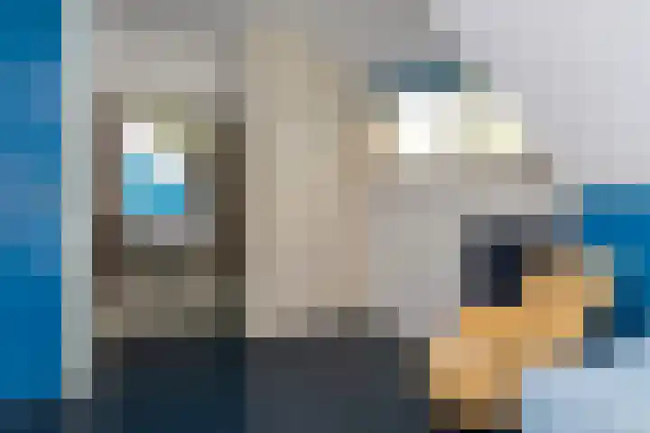 Onder de Bos 163 Hulshorst thumbnail 34