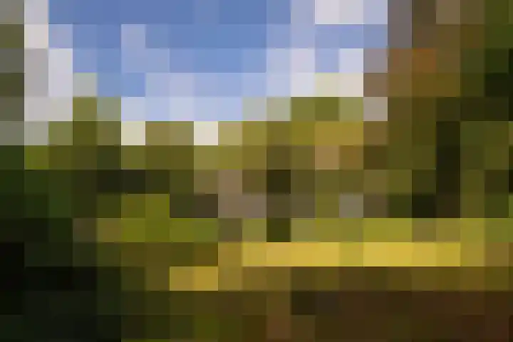 Onder de Bos 163 Hulshorst thumbnail 4