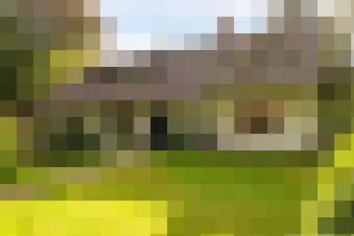 Onder de Bos 163 Hulshorst thumbnail 41