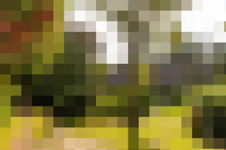 Onder de Bos 163 Hulshorst thumbnail 42
