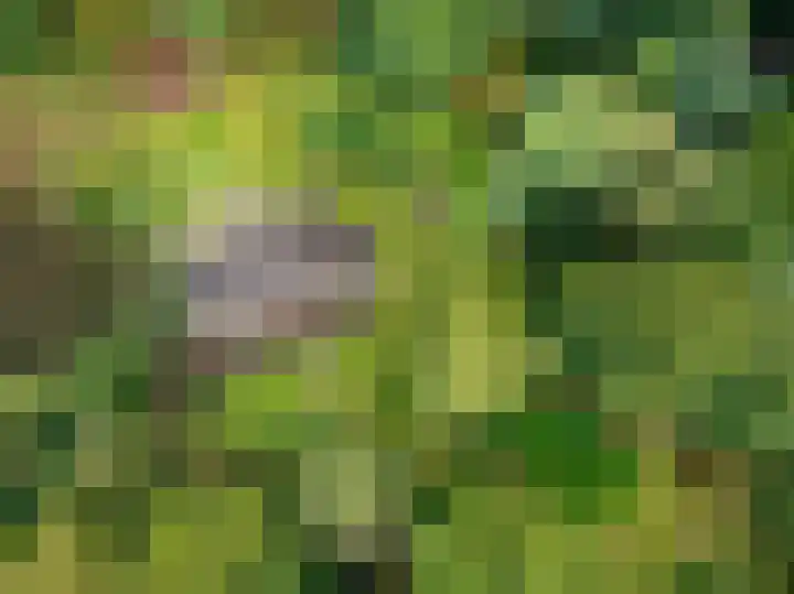 Onder de Bos 163 Hulshorst thumbnail 43