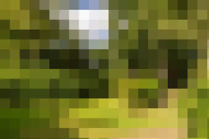 Onder de Bos 163 Hulshorst thumbnail 44