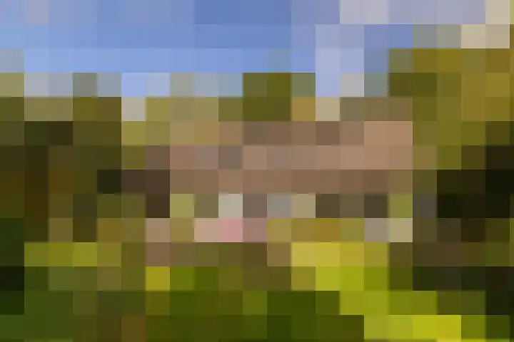 Onder de Bos 163 Hulshorst thumbnail 45