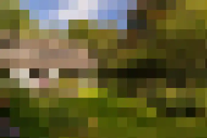 Onder de Bos 163 Hulshorst thumbnail 46