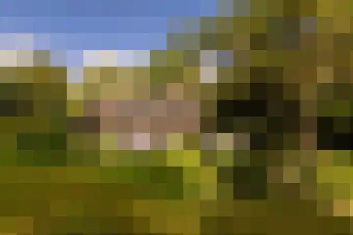 Onder de Bos 163 Hulshorst thumbnail 47