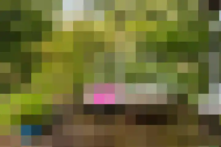 Onder de Bos 163 Hulshorst thumbnail 50