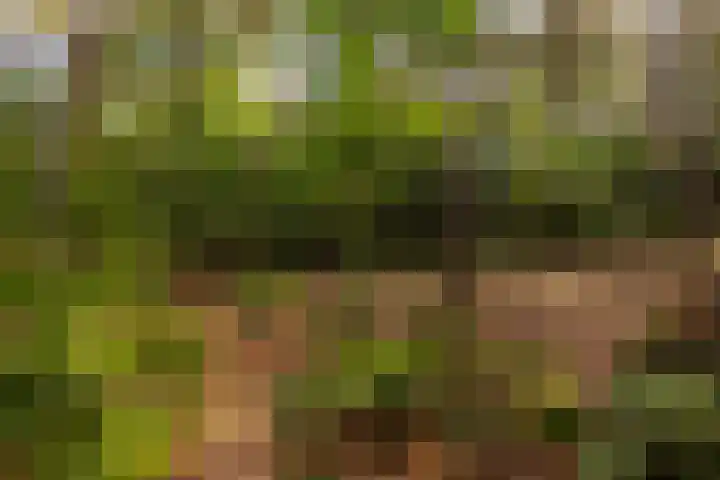 Onder de Bos 163 Hulshorst thumbnail 51