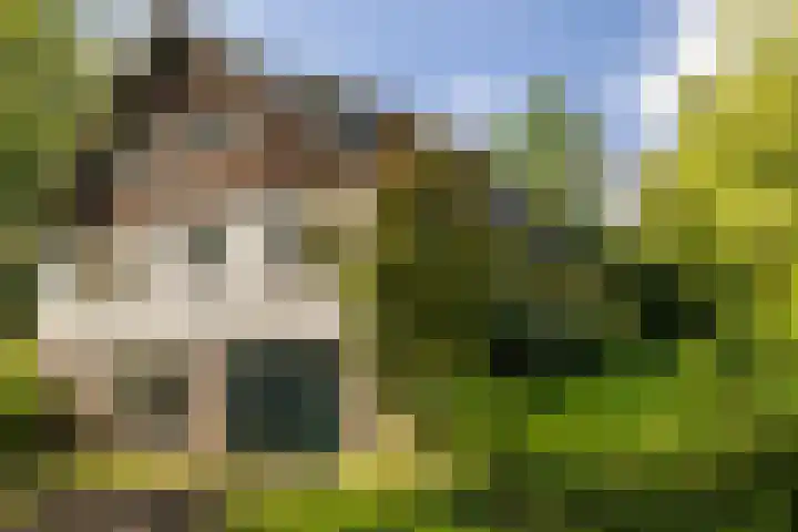 Onder de Bos 163 Hulshorst thumbnail 6