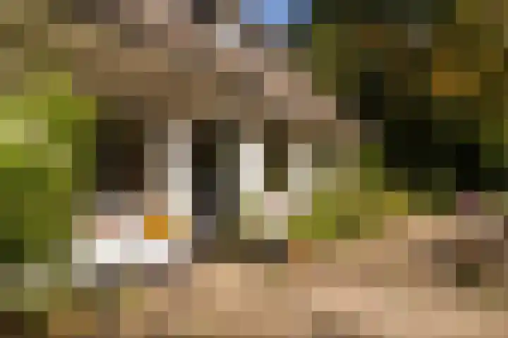 Onder de Bos 163 Hulshorst thumbnail 7