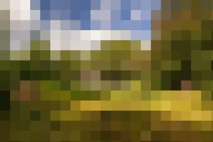 Onder de Bos 163 Hulshorst thumbnail 8