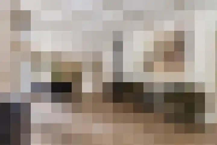 Onder de Bos 235 Hulshorst thumbnail 11