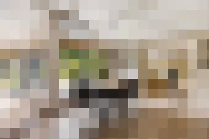Onder de Bos 235 Hulshorst thumbnail 12