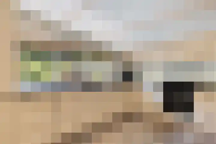 Onder de Bos 235 Hulshorst thumbnail 15