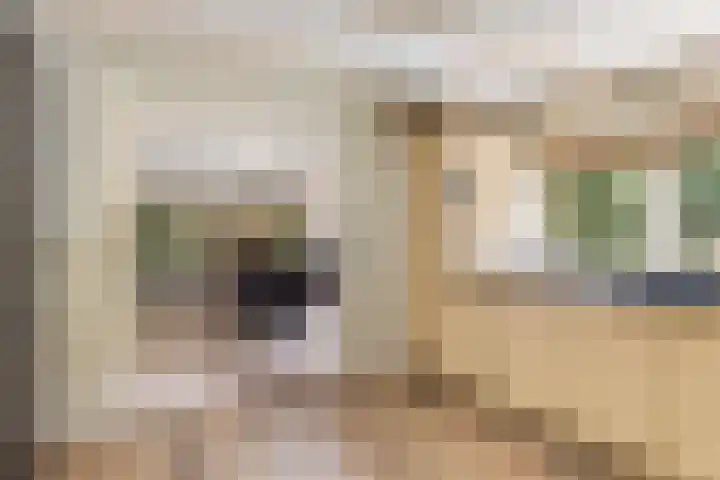 Onder de Bos 235 Hulshorst thumbnail 16