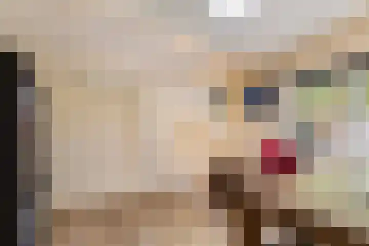 Onder de Bos 235 Hulshorst thumbnail 19