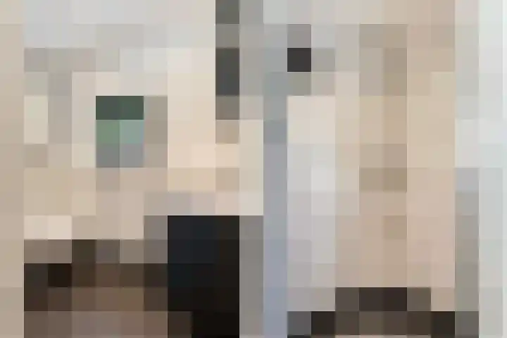 Onder de Bos 235 Hulshorst thumbnail 21