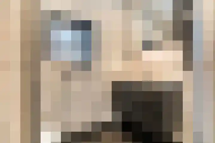 Onder de Bos 235 Hulshorst thumbnail 22