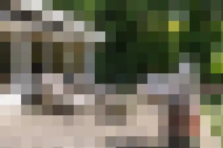 Onder de Bos 235 Hulshorst thumbnail 23