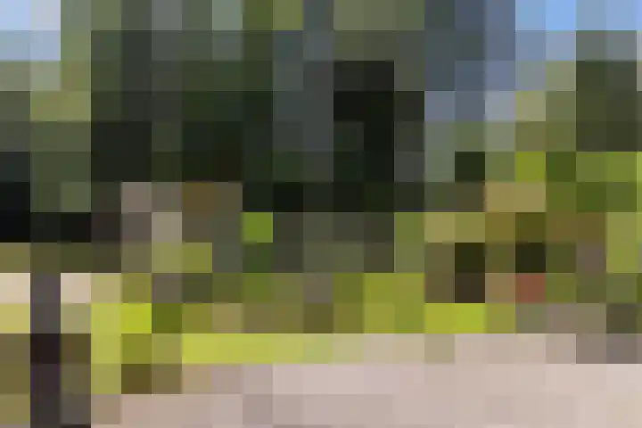 Onder de Bos 235 Hulshorst thumbnail 24