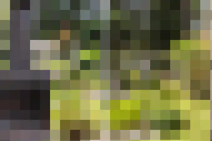 Onder de Bos 235 Hulshorst thumbnail 25