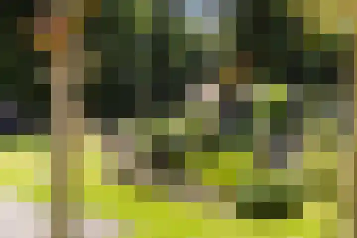 Onder de Bos 235 Hulshorst thumbnail 26